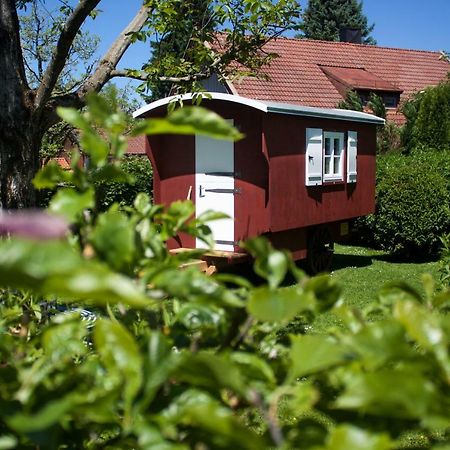 Апартаменти Haus Am Salinenweg Ґрассау Екстер'єр фото
